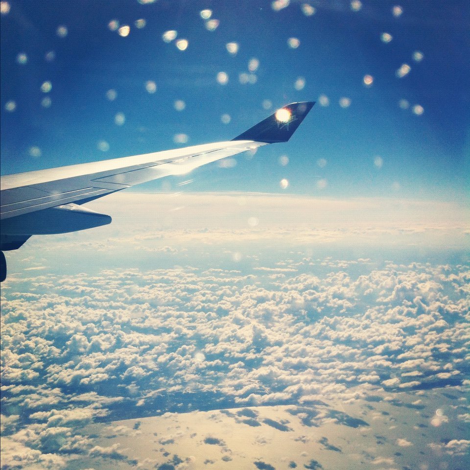 Fly on We Heart It - http://weheartit.com/entry/52815123/via/xegy