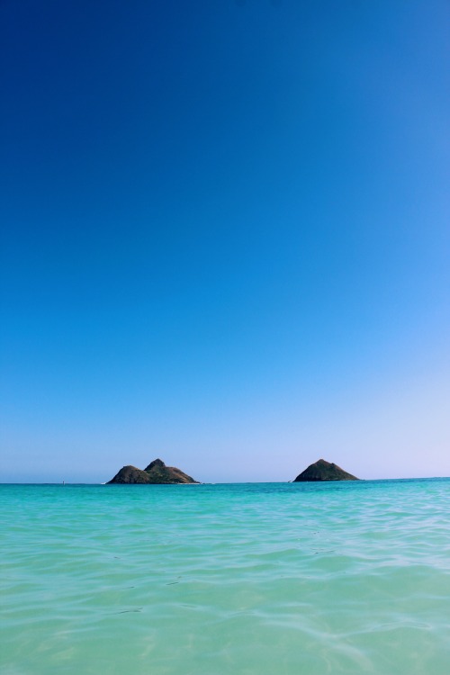 niccoolleeyy:  blue is just a great color