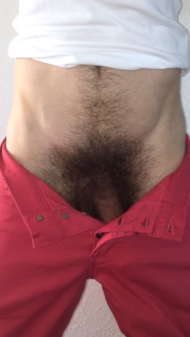 manlybush:  Incredibly beautiful bush. I’d love to lay my face on that cock fur