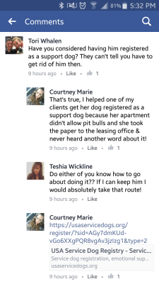 softshirringsound:  I saw this exchange on Facebook and it really rubbed me the wrong way? Like it’s terrible a dog isn’t allowed in an apt complex you live in, but don’t pretend to be disabled to keep them. We get enough shit about faking, it’s