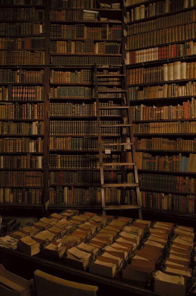 trueprince77:  where do I start? the adventures are truly endless.