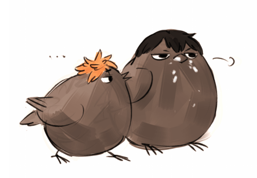 lesmoules:posting the HQ birbs I drew for my buddy Apples cause I like them :“O