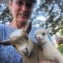 stokoefarm:  #babygoat May and her big brother enjoying doing chores on this beautiful Sunday! Hard to believe she was the first born! #stokoefarms #goatsgalore  (at Stokoe Farms) 