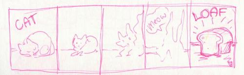 rabbitfears:  rabbitfears:  A bunch of cat loaf. A comic in which the first panel must be a cat and the last panel a loaf.  In order of creation. lots of loafy cats for all  Been getting re-blogged a bit. So I’m going to join in…self re-blog woo.