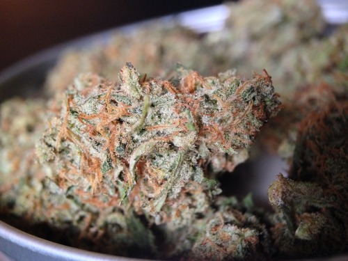 mamaakush:  Cannatonic. 👐🔥 