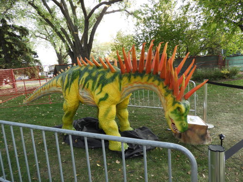 Went to Jurassic Festival today! It had some pretty cool animatronics :D &frac12;