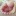 lazys-feet: