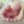 lazys-feet: