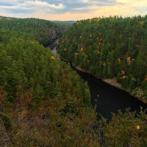 Fall Rhapsody!  #hike #hikingadventures #exploreontario #explorecanada #fallcolors #autumn #automne 