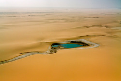 iqaq:  Rain water pooling in the desert east
