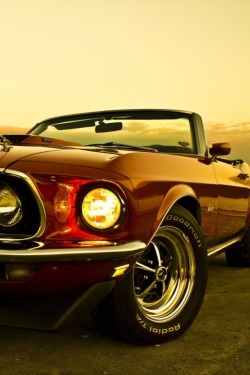 guneydogugazisi:  1969 Mustang
