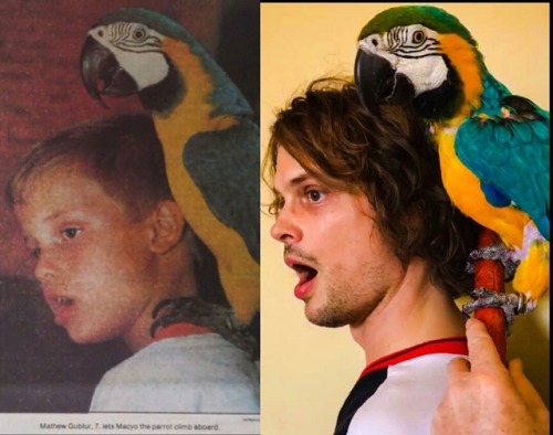 nationgubler:Matthew “GUBLUR”