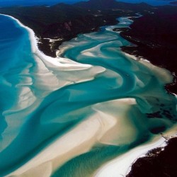 thecoconutgoddess:  Whitehaven Beach in Australia,