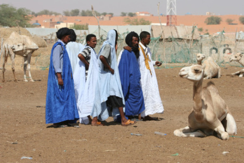 missauset:  beautiesofafrique:  Mauritania || Northwest Africa || ©  Ferdinand Reus  Fam