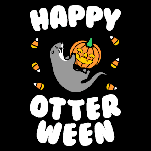 Forget Halloween, happy #OTTERween! (via GIPHY)