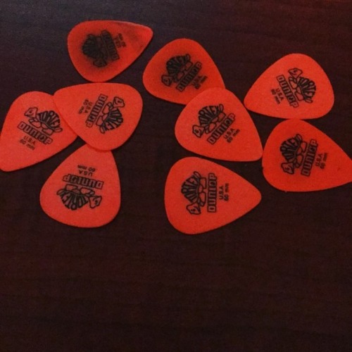 I give it a few weeks before these have all found their way to the #upsidedown #missingplectrums #pl