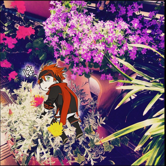 katsura hoshino instagram katsura hoshino instagram