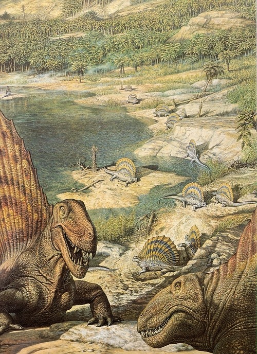 dryptosaurus:Dimetrodons by John Sibbick