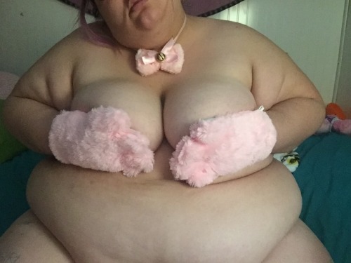 Porn Pics cute-fattie: the fattest kitty    wishlist !!help