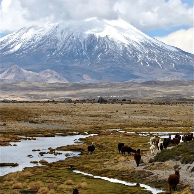 engrossingvolcanoeruptions:  Il sig. Parinacota #parinacota #volcano #beautiful #landscape