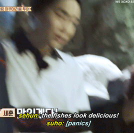 [travel The World On Exos Ladder Season Two] Sehun And Xiumin Wants To Eat The Fishes At An Aquarium