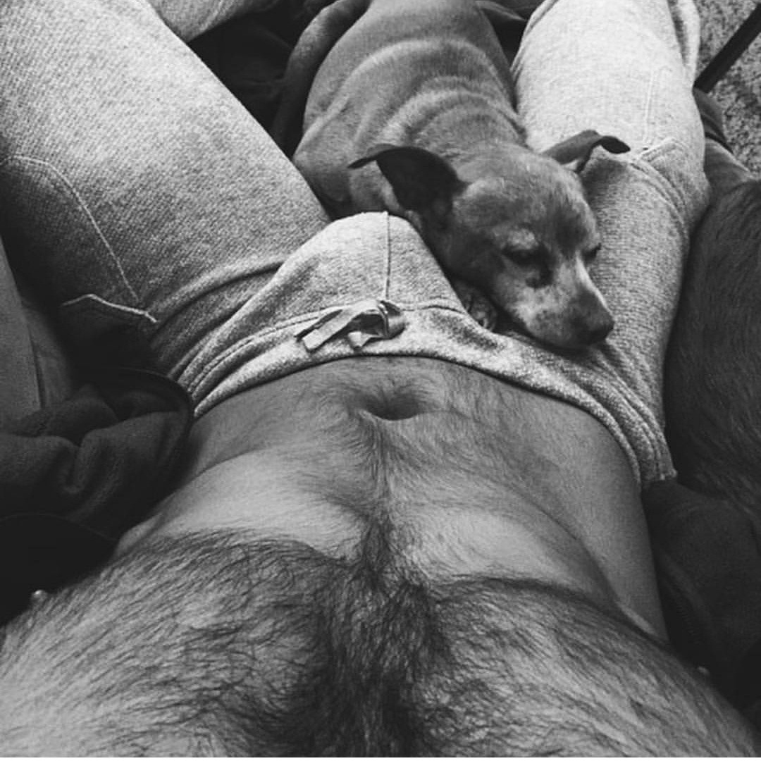 yourpiglet42:  lucky pooch.. mmmm