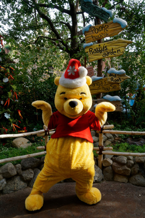 winnie the pooh