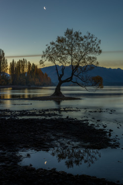 Wowtastic-Nature:  💙 Moon Reflection By Jamie Richey On 500Px○  Nikon