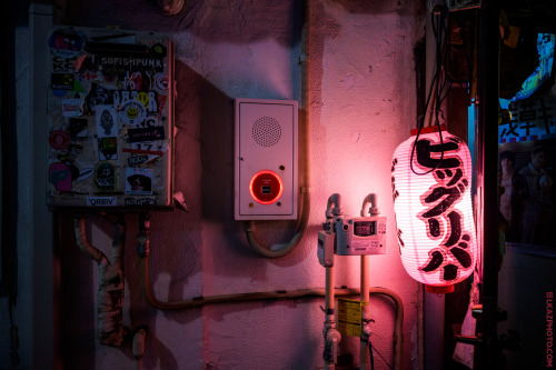 Pink Lamp, Shinjuku `