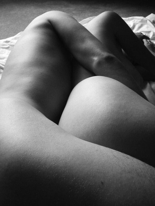 tumblr photo amused-itself-to-death 15