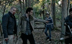 fuckyeahrickyl:  Episodic Rick Grimes and Daryl Dixon: Better Angels 