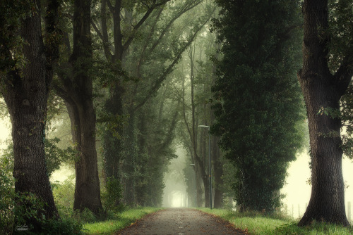 Tunnel of inner calmness