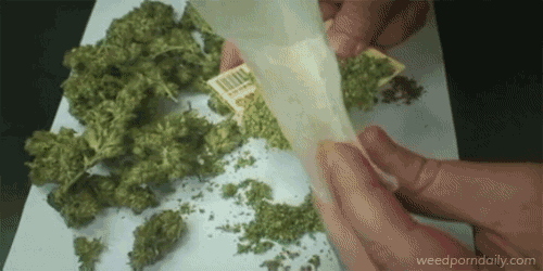 stoners-playground:  Happy 4:20