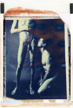 fotocracker:Expired Polaroid film