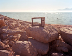 mpdrolet:  From Bombay Beach Virginia Wilcox