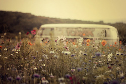 Love-Land-Dreams:  Lovely Flower Bus No We Heart It. Http://Weheartit.com/Entry/77818541/Via/Carol_Veras