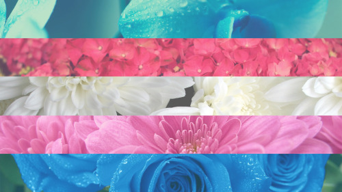 eat-sleep-and-race:I made some flags out of flowers after a friend showed me a really great Asexual flag in the same style. so this is my image set. Enjoy and feel free to use them as your wallpaper if you like but if you want to use them elsewhere please