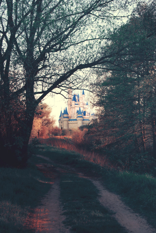http://forevermydreams93.tumblr.com/post/132286013345