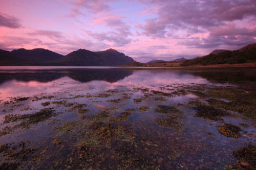 expressions-of-nature:by Gordie Broon Felt like this was Scotland before I even saw the name or clic