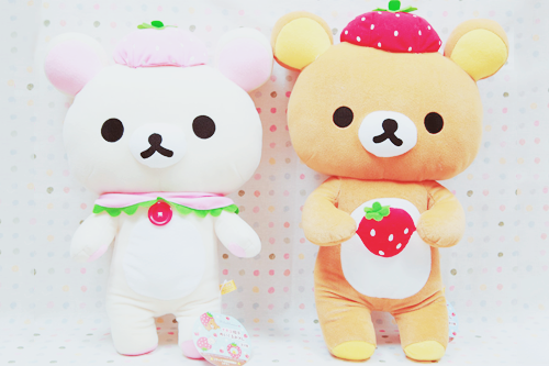 r-bears:Tumblr on We Heart It.