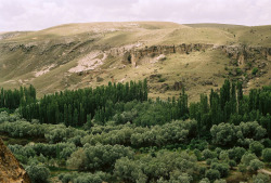 intothegreatunknown:  woods | Urgub, Turkey (by Simooooon) 