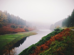 dpcphotography:  October Fog 