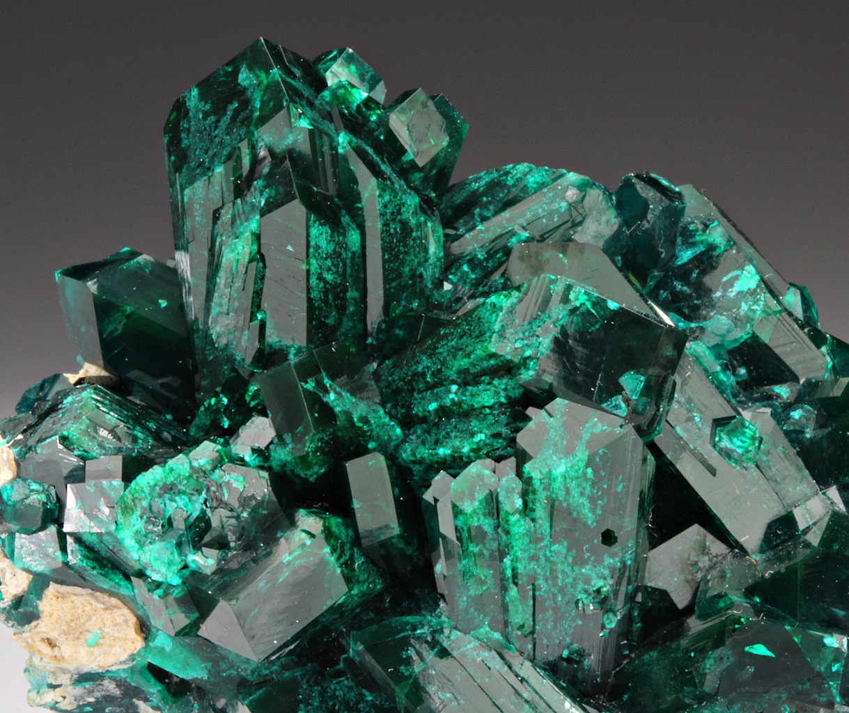 fuckyeahmineralogy:  Dioptase; Tsumeb Mine, Otjikoto Region, Namibia 