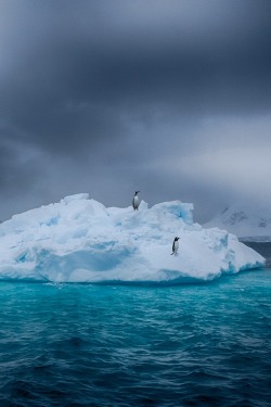 ponderation:  Storm spotting by JrnAllanPedersen 