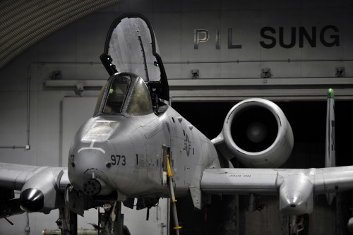 titanium-rain: An A-10 Thunderbolt II sits in a hangar prior to launching for the first sortie of Beverly Midnight 14-02 at Osan Air Base, Republic of Korea, Feb. 10, 2014. Exercises like BM 14-02 test Airmen on their ability to operate and accomplish