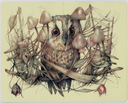 azertip: marcomazzoni:“The Pusher” 2013, colored pencils and ink on moleskine paper, cm 21x26 “Natur