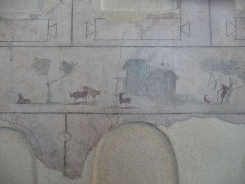 romegreeceart:Palazzo Massimo - Fresco details, set 8I have some spare time so I dediced to post &ld