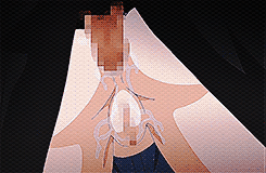 cum-on-breastsje:  