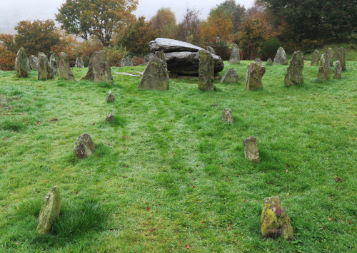 Pontypridd Rocking Stone, South Wales, 29.10.16. Only the central stone, a notable ‘glacial erratic’