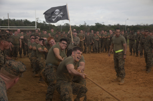 ceebee23:  Nov 20,2013Camp Hansen, Okinawa, Japan - Tug of War